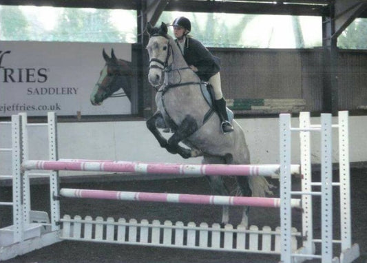 Arion - Meet the Owner